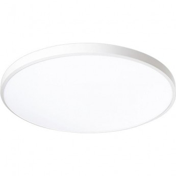 Светильник светодиодный декоративный JAZZWAY 5060906 PPB OPAL 36Вт 6500К WH d300X55 IP20 настенно-потолочный бытовой