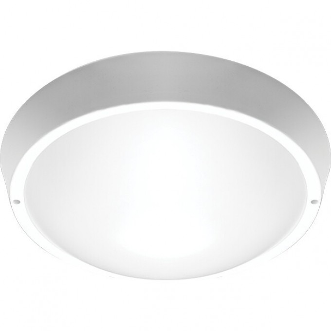 Светильники светодиодные пылевлагозащищенные JAZZWAY PBH-PC-RA 24W 4000K WHITE IP65 5020788 Светильники светодиодные пылевлагозащищенные JAZZWAY PBH-PC-RA 24W 4000K WHITE IP65 5020788